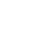 ADN Broadcast